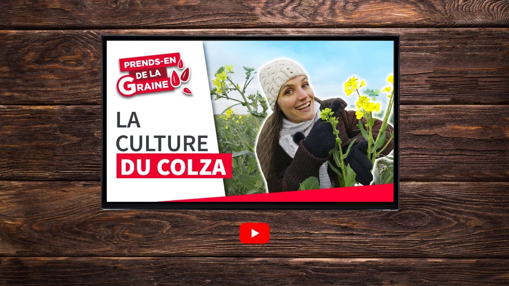 Pourquoi je continue de semer et cultiver du colza ?